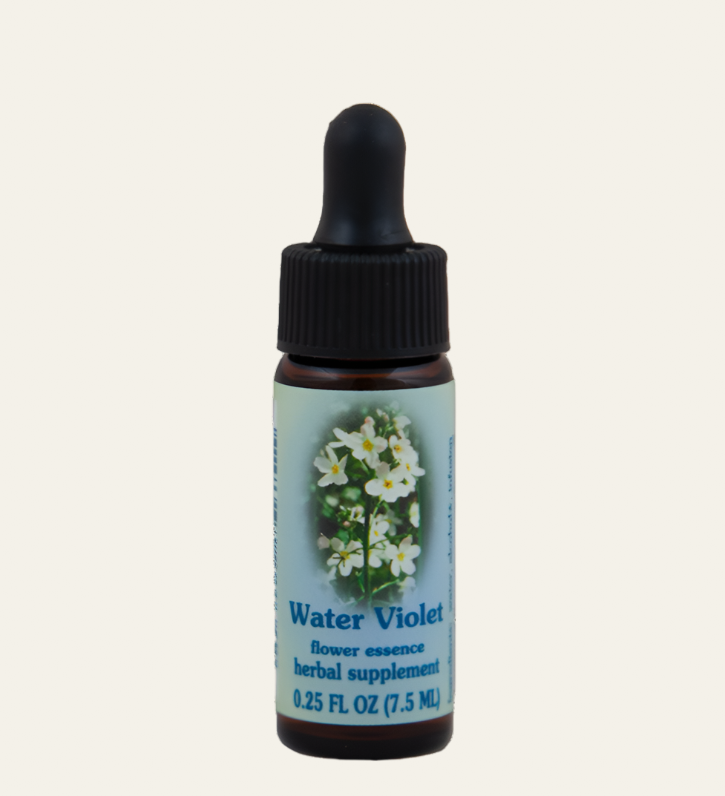 Water Violet